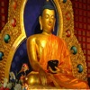 DWQ Buddha