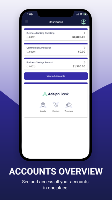 Adelphi Bank Business Screenshot