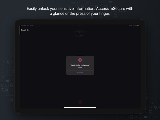 Password Manager - mSecure iPad app afbeelding 4