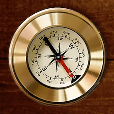 Scavenger Hunt DE Читы