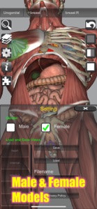 3D Bones and Muscles (Anatomy) screenshot #8 for iPhone