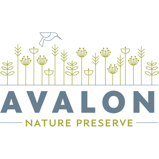 Avalon Nature Preserve