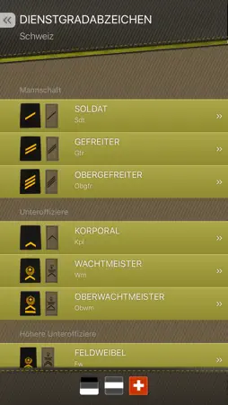 Dienstgradabzeichen screenshot 2