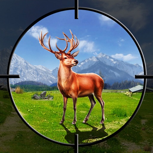 Wild Animal Hunting Game 2021