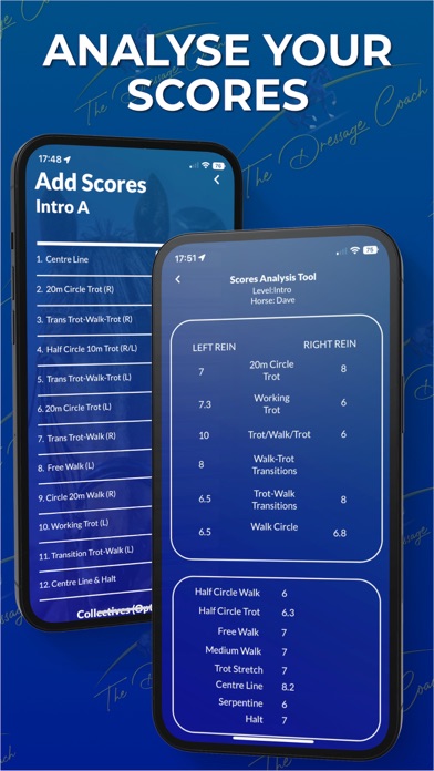 The Dressage Coach Screenshot