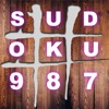 Sudoku Puzzles Games