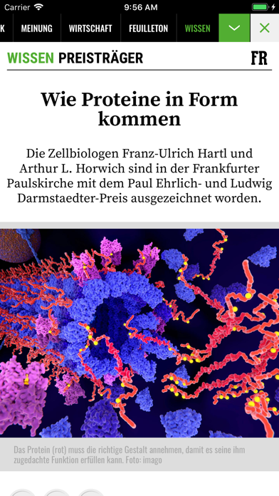 FR+ - Frankfurter Rundschau Screenshot