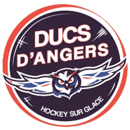 Ducs d'Angers