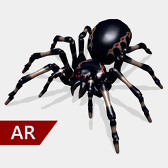 AR עכבישים