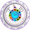 Pregnancy Wheel HD - TenTal