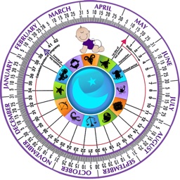 Pregnancy Wheel HD