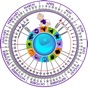 Pregnancy Wheel HD app download