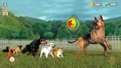 Animal Rescue - Dog Simulator Screenshot