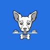 TEDDY: Positive Dog Training icon