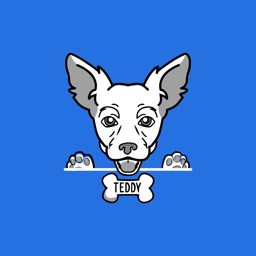 TEDDY: Positive Dog Training