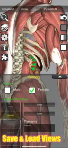 3D Bones and Muscles (Anatomy) screenshot #6 for iPhone