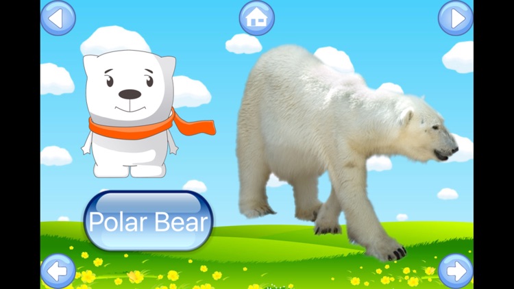 Zoo Animals Sound Flash Cards screenshot-3