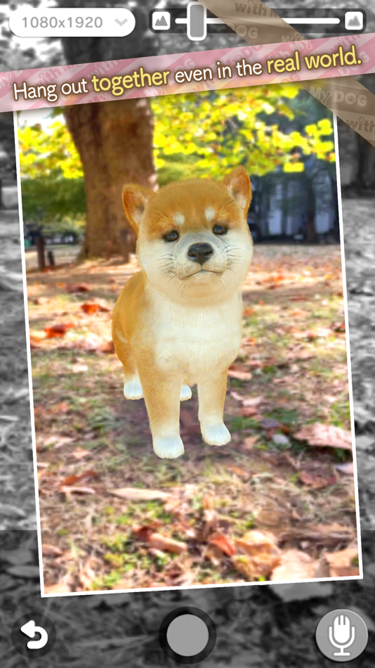 #10. with My DOG (iOS) 由: Neilo inc.