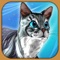 Cat Simulator Pet Kitten Games