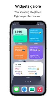 nudget: spending tracker iphone screenshot 4