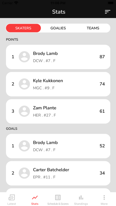 FTP (Hockey) Screenshot