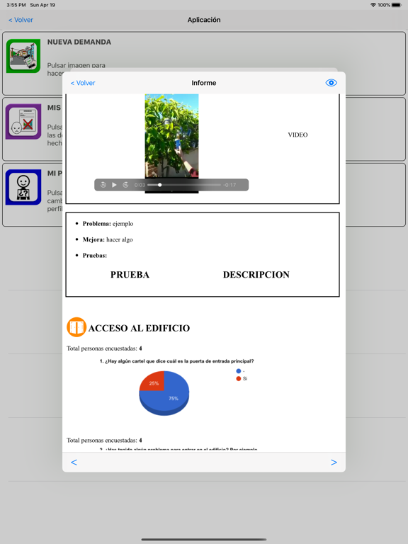 CEAccesibles iPad screenshot