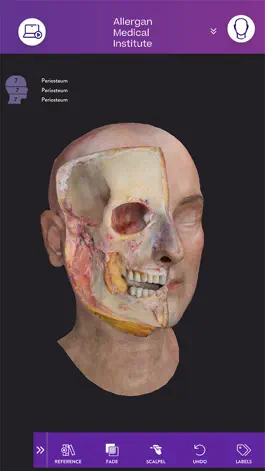 Game screenshot AMI Facial Anatomy and Cadaver hack