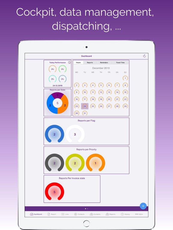 My Report iPad screenshot