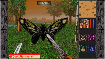 The Quest screenshot 3