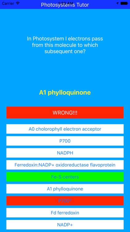 Photosystems Tutor