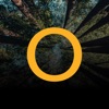 The Origin App icon