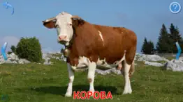 Животные для Детей, Малышей 1+ айфон картинки 3