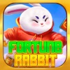 Fortune Rabbit-Lantern game