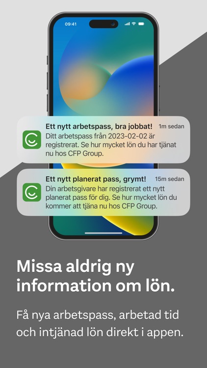 Cappy - Flexibel lön screenshot-8