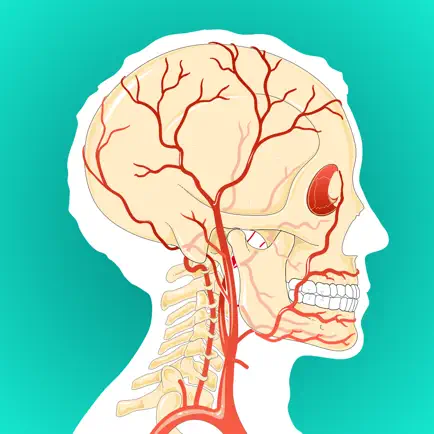 Anatomy and Physiology GO Читы