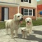 Live the life of a dog, controlling your favourite breeds, exploring a massive 3D world and building a family of puppies
