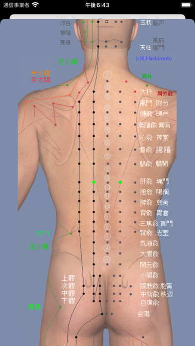 経絡ツボ検索のおすすめ画像8