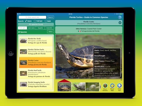 Screenshot #5 pour Florida Turtles