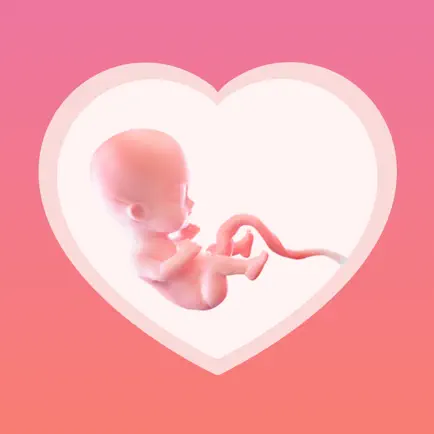 Pregnancy Tracker - BabyInside Cheats