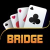 Bridge Classic icon