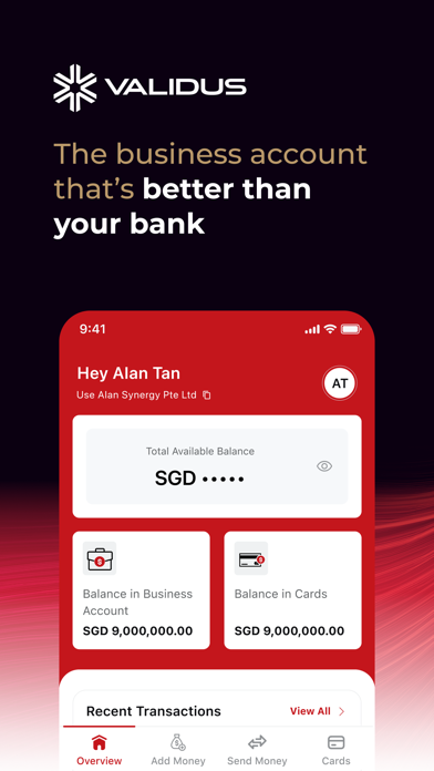 Validus Business Account Screenshot