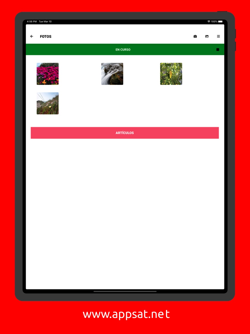 iPad screenshot