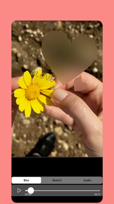 Blur Video & Mosaic Screenshot