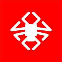 Spider ID logo