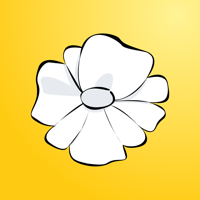 Lutea - cycle charting app