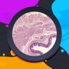 HistoLogic icon