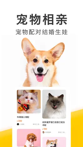 Game screenshot 有只宠物-宠物市场买猫买狗卖猫卖狗宠物交易平台 apk