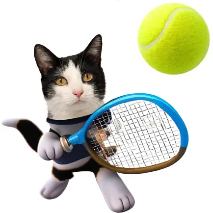 Kitty Tennis Game Cheats