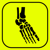 Foot Bones Speed Anatomy Quiz