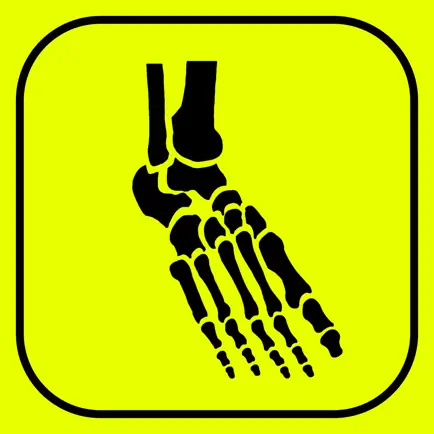 Foot Bones: Speed Anatomy Quiz Cheats